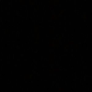 Meet your Posher, Samuel